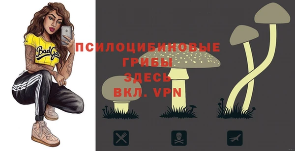 метадон Кукмор