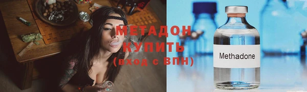 индика Ладушкин