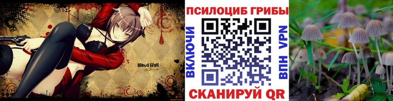Купить  Курлово  Галлюциногенные грибы Cubensis 